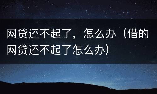 网贷还不起了，怎么办（借的网贷还不起了怎么办）