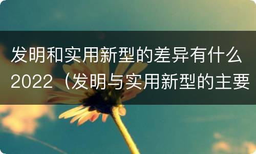 发明和实用新型的差异有什么2022（发明与实用新型的主要区别）