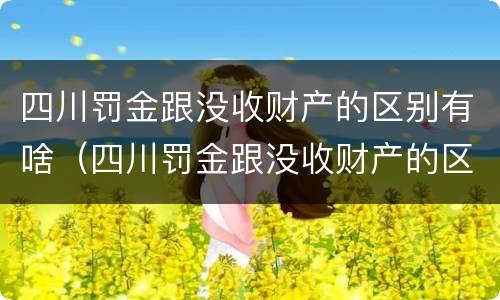 四川罚金跟没收财产的区别有啥（四川罚金跟没收财产的区别有啥关系）