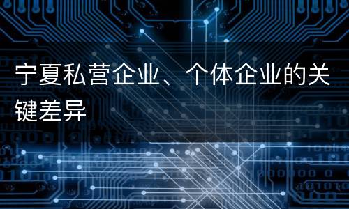 宁夏私营企业、个体企业的关键差异