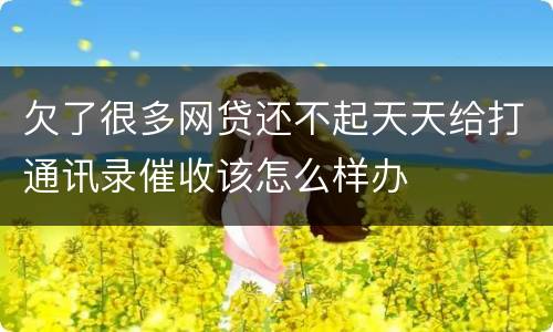 欠了很多网贷还不起天天给打通讯录催收该怎么样办