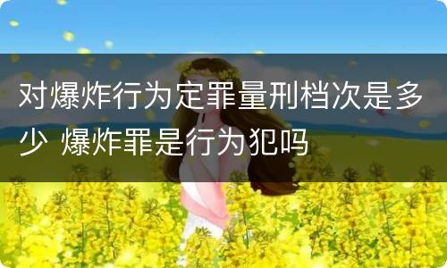 对爆炸行为定罪量刑档次是多少 爆炸罪是行为犯吗