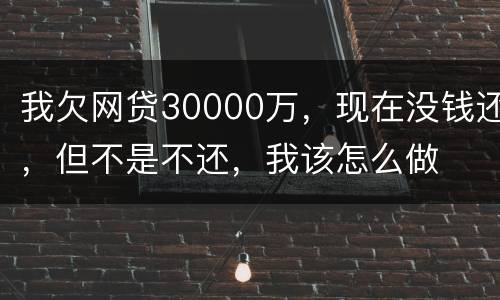 我欠网贷30000万，现在没钱还，但不是不还，我该怎么做