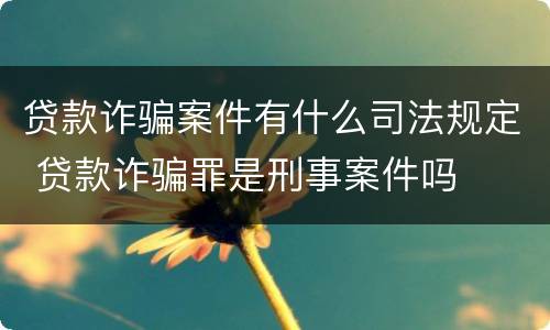 贷款诈骗案件有什么司法规定 贷款诈骗罪是刑事案件吗