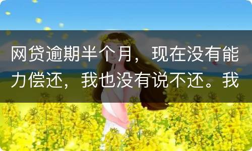 网贷逾期半个月，现在没有能力偿还，我也没有说不还。我该怎么做