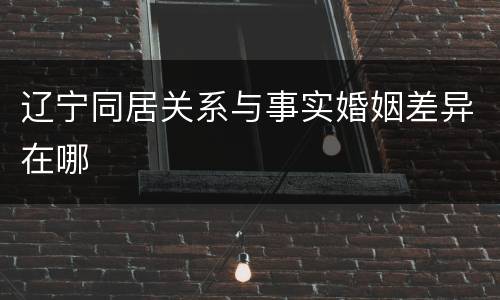 辽宁同居关系与事实婚姻差异在哪