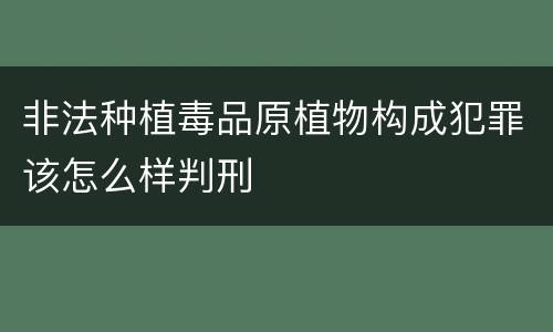 非法种植毒品原植物构成犯罪该怎么样判刑