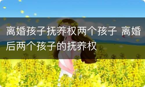 离婚孩子抚养权两个孩子 离婚后两个孩子的抚养权
