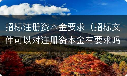招标注册资本金要求（招标文件可以对注册资本金有要求吗）