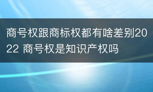 商号权跟商标权都有啥差别2022 商号权是知识产权吗