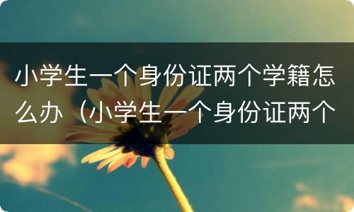 小学生一个身份证两个学籍怎么办（小学生一个身份证两个学籍怎么办理）