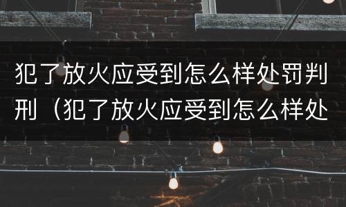 犯了放火应受到怎么样处罚判刑（犯了放火应受到怎么样处罚判刑多久）