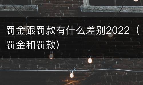 罚金跟罚款有什么差别2022（罚金和罚款）