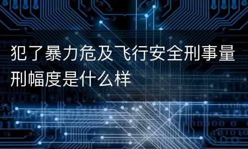 犯了暴力危及飞行安全刑事量刑幅度是什么样