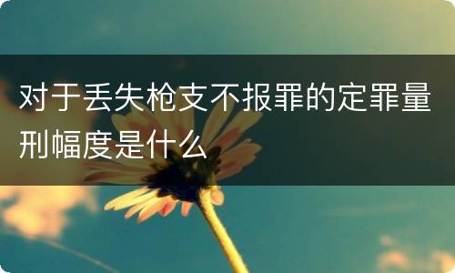对于丢失枪支不报罪的定罪量刑幅度是什么