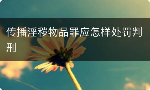 传播淫秽物品罪应怎样处罚判刑