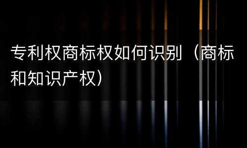 专利权商标权如何识别（商标和知识产权）