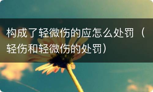 构成了轻微伤的应怎么处罚（轻伤和轻微伤的处罚）