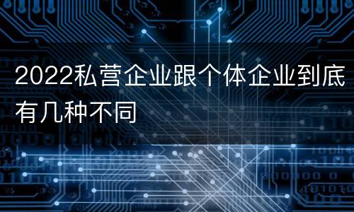 2022私营企业跟个体企业到底有几种不同