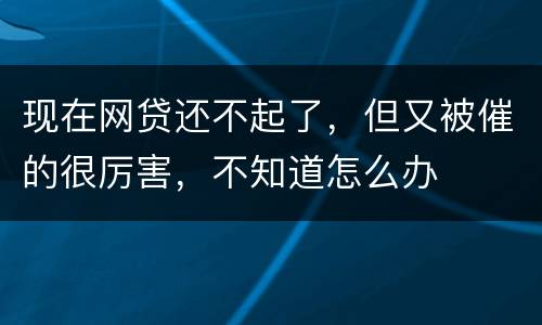 现在网贷还不起了，但又被催的很厉害，不知道怎么办