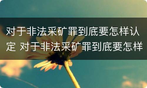 对于非法采矿罪到底要怎样认定 对于非法采矿罪到底要怎样认定呢