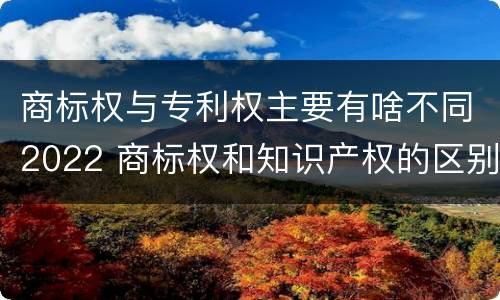 商标权与专利权主要有啥不同2022 商标权和知识产权的区别