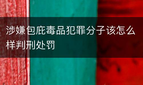 涉嫌包庇毒品犯罪分子该怎么样判刑处罚
