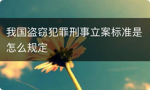 我国盗窃犯罪刑事立案标准是怎么规定