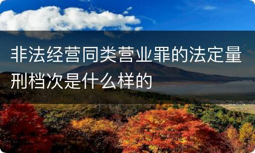 非法经营同类营业罪的法定量刑档次是什么样的