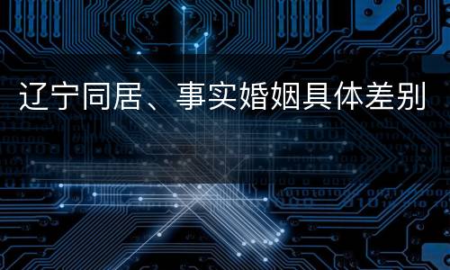 辽宁同居、事实婚姻具体差别