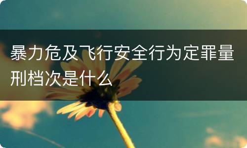 暴力危及飞行安全行为定罪量刑档次是什么