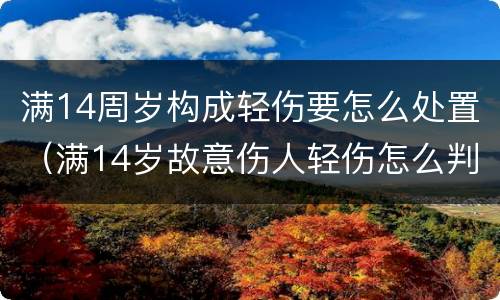 满14周岁构成轻伤要怎么处置（满14岁故意伤人轻伤怎么判刑）