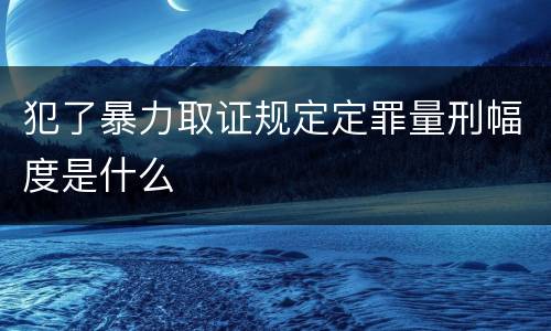 犯了暴力取证规定定罪量刑幅度是什么