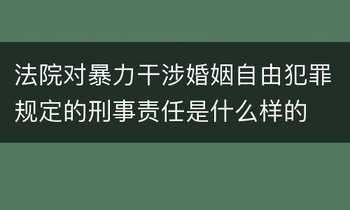 法院对暴力干涉婚姻自由犯罪规定的刑事责任是什么样的