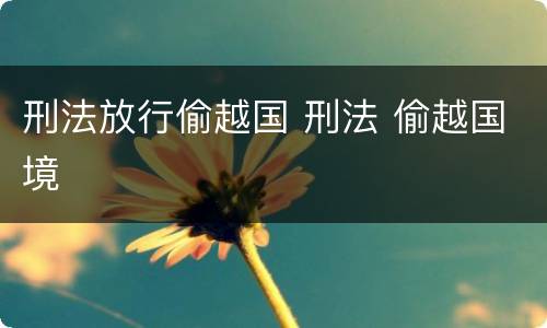 刑法放行偷越国 刑法 偷越国境