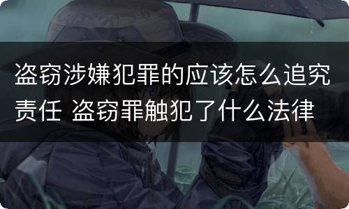 盗窃涉嫌犯罪的应该怎么追究责任 盗窃罪触犯了什么法律