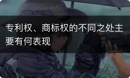 专利权、商标权的不同之处主要有何表现
