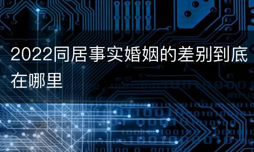 2022同居事实婚姻的差别到底在哪里