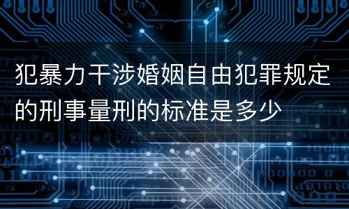 犯暴力干涉婚姻自由犯罪规定的刑事量刑的标准是多少