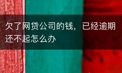 欠了网贷公司的钱，已经逾期还不起怎么办