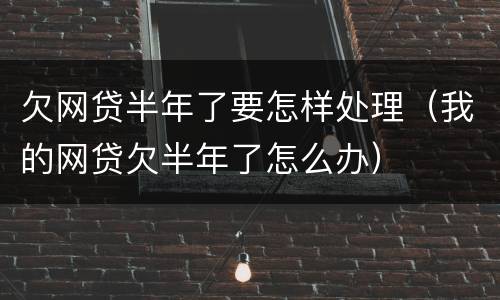 欠网贷半年了要怎样处理（我的网贷欠半年了怎么办）