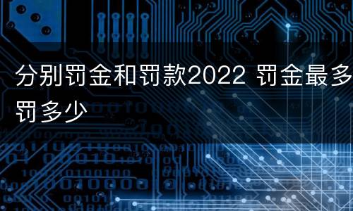 分别罚金和罚款2022 罚金最多罚多少