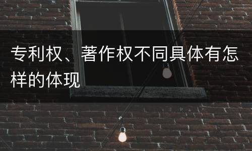 专利权、著作权不同具体有怎样的体现
