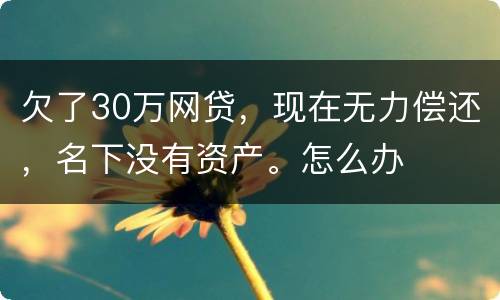 欠了30万网贷，现在无力偿还，名下没有资产。怎么办