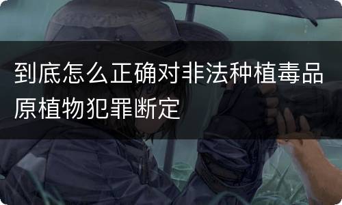 到底怎么正确对非法种植毒品原植物犯罪断定
