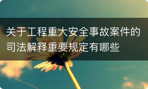 关于工程重大安全事故案件的司法解释重要规定有哪些
