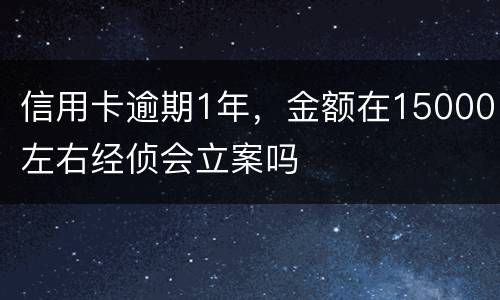 信用卡逾期1年，金额在15000左右经侦会立案吗