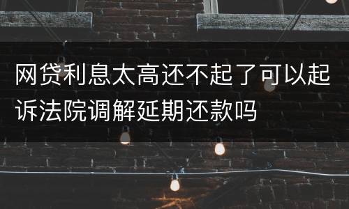 网贷利息太高还不起了可以起诉法院调解延期还款吗