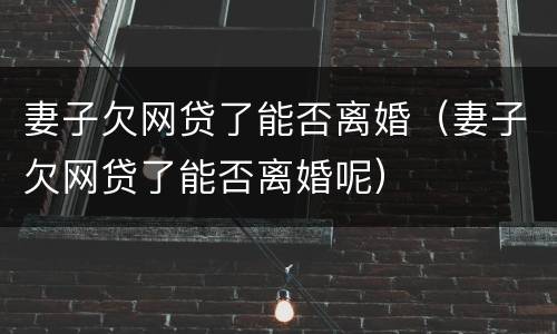 妻子欠网贷了能否离婚（妻子欠网贷了能否离婚呢）