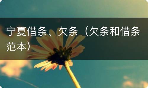 宁夏借条、欠条（欠条和借条范本）